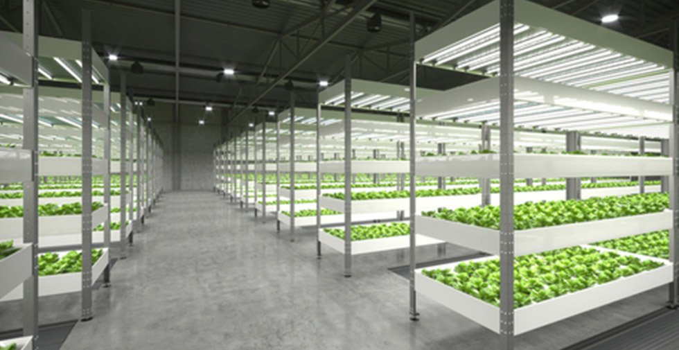 industrial concrete flooring in food production